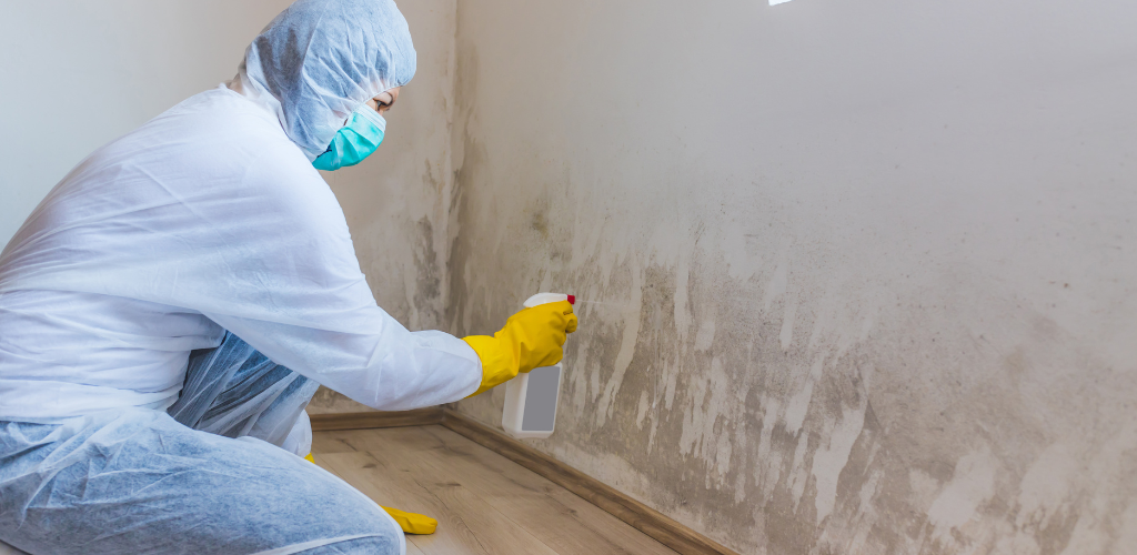 Fire & Water Remediation - Forensic & Biohazard Cleaning | Trauma Clean Fire & Water Remediation
